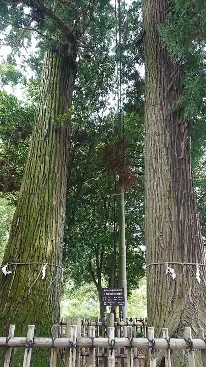 大田原神社の自然