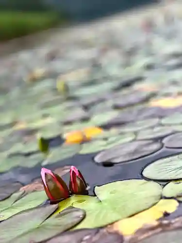 仁科神社(長野県)