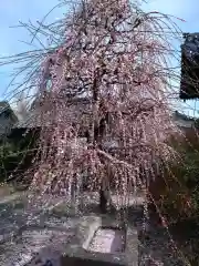 本立寺(愛知県)