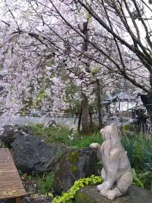 御誕生寺（猫寺）(福井県)