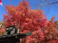 山賊魂稲成神社(山口県)