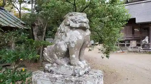 橘樹神社の狛犬