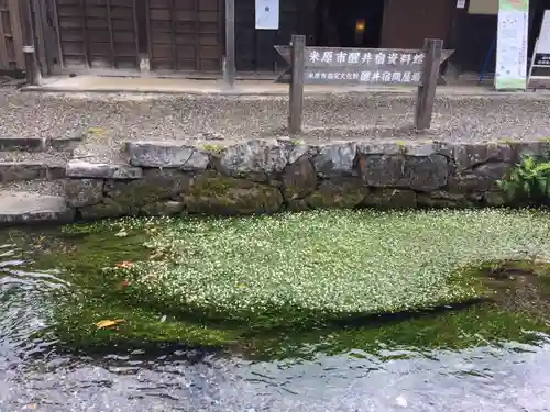 加茂神社の庭園