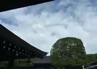 明治神宮(東京都)