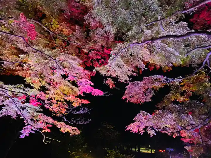 土津神社|こどもと出世の神さまの自然