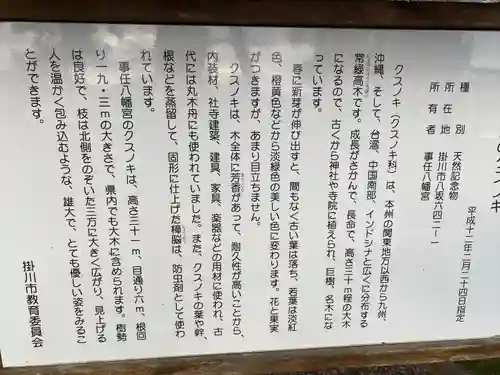 事任八幡宮(静岡県)