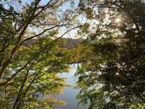 八雲神社の自然