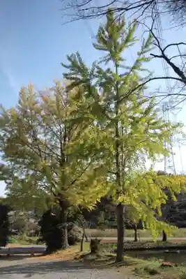 興長禅寺の景色