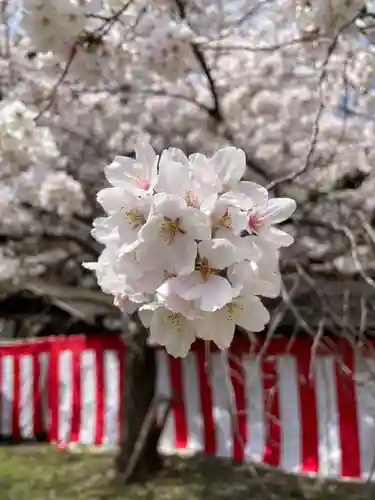 醍醐寺(京都府)