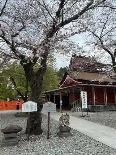 富士山本宮浅間大社(静岡県)