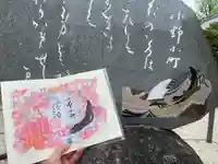 隨心院(随心院)(京都府)