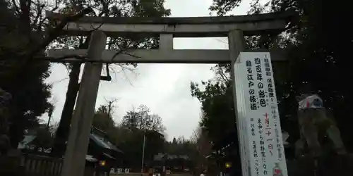 秩父神社の鳥居