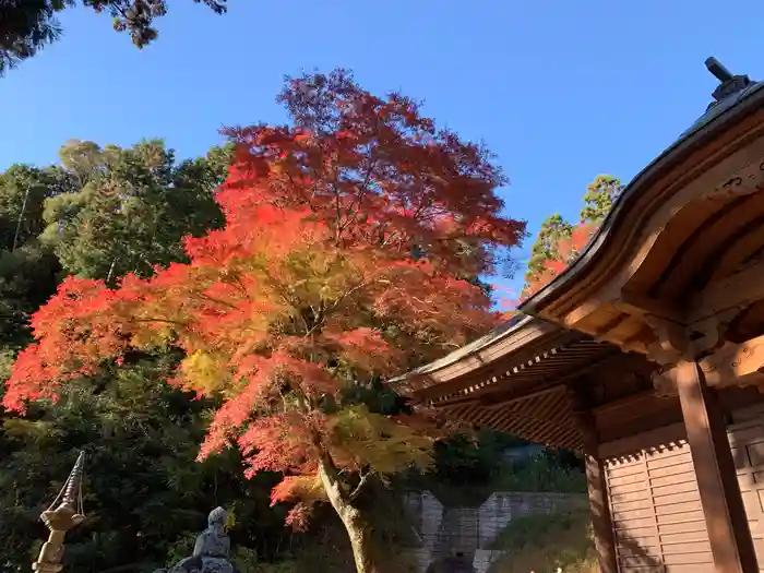 普門寺(切り絵御朱印発祥の寺)の建物その他