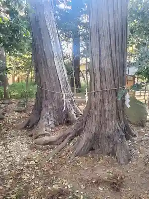大宝八幡宮(茨城県)