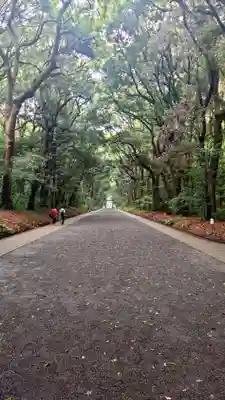 明治神宮(東京都)