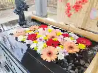 美幌神社の手水舎