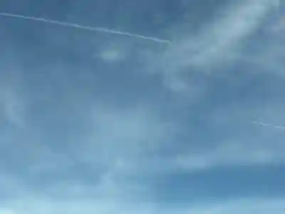 雀神社(茨城県)