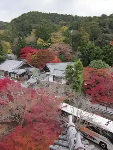 南禅寺の景色