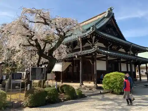 豪徳寺のその他建物