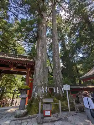 日光二荒山神社(栃木県)