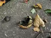 白石神社(北海道)