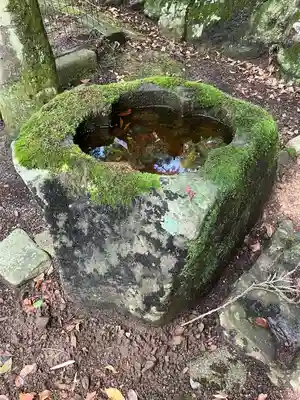天鷹神社の手水舎