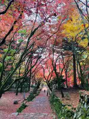 鶏足寺の{uncategorized: "未分類", other: "その他", undefined: "問題あり", building: "その他建物", grave: "お墓", sacred_gate: "鳥居", guardian: "狛犬", statue: "像", buddha: "仏像", history: "歴史", nature: "自然", garden: "庭園", animal: "動物", pagoda: "塔", temizu: "手水舎", mountain_gate: "山門・神門", sanctuary: "本殿・本堂", subordinate: "末社・摂社", art: "芸術", scenery: "景色", jizo: "地蔵", ema: "絵馬", goshuin: "御朱印", omikuji: "おみくじ", items: "授与品その他", amulet: "お守り", goshuincho: "御朱印帳", eats: "食事", festival: "お祭り", votive_dance: "神楽", shichigosan: "七五三参", wedding: "結婚式", experience: "体験その他", initially: "初詣", around: "周辺", anti_infection: "感染症対策"}