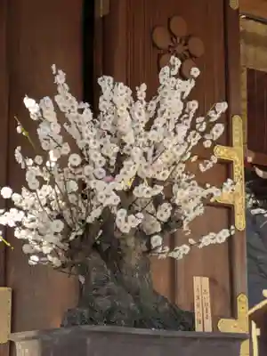 湯島天満宮(東京都)