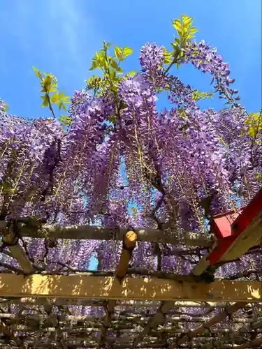 金蛇水神社(宮城県)