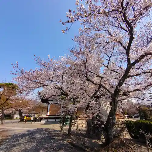 妙蓮寺(京都府)