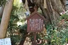 葛城一言主神社の建物その他