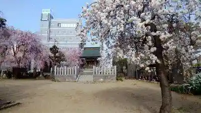 権現神社のその他建物
