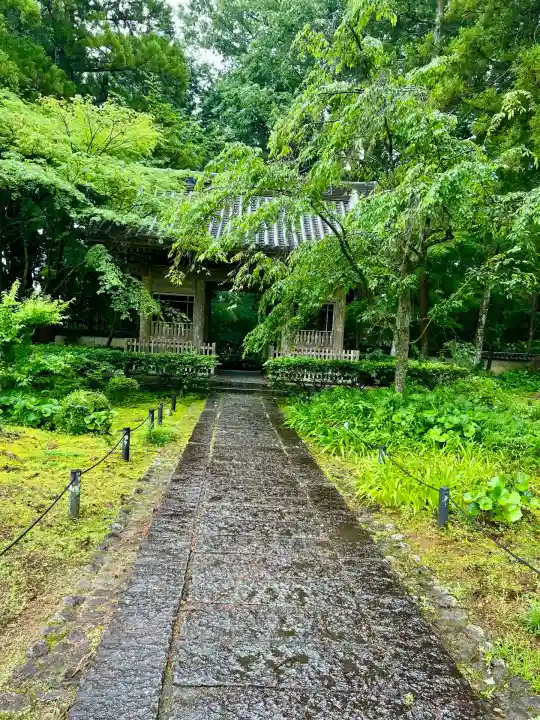 龍潭寺(静岡県)