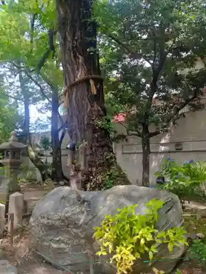 守居神社(大阪府)