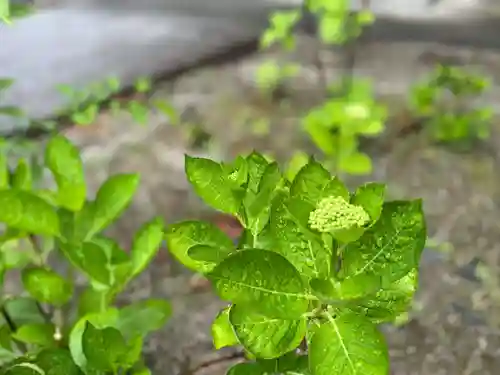 伊勢の国 四天王寺(三重県)