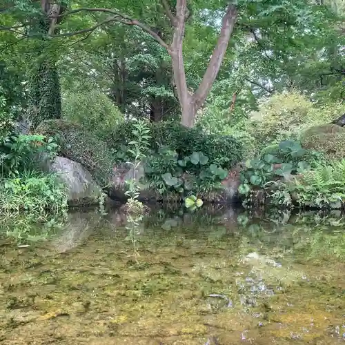 武蔵一宮氷川神社の庭園