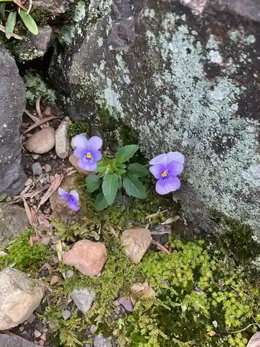 興禅寺(愛知県)