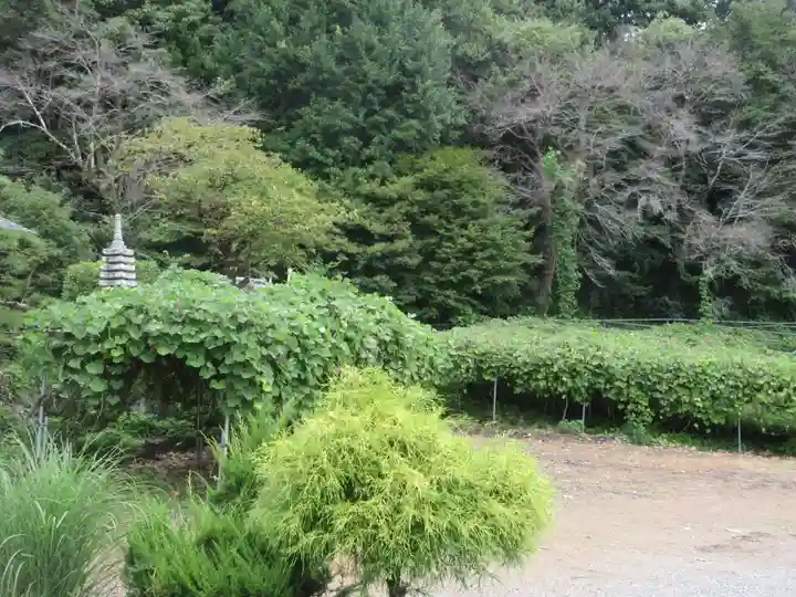 遍照寺(埼玉県)