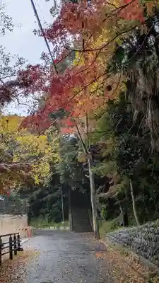 大念寺(京都府)