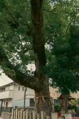 保利神社(大阪府)