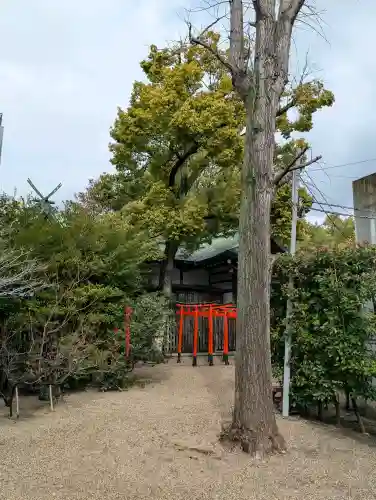 堀越神社の{uncategorized: "未分類", other: "その他", undefined: "問題あり", building: "その他建物", grave: "お墓", sacred_gate: "鳥居", guardian: "狛犬", statue: "像", buddha: "仏像", history: "歴史", nature: "自然", garden: "庭園", animal: "動物", pagoda: "塔", temizu: "手水舎", mountain_gate: "山門・神門", sanctuary: "本殿・本堂", subordinate: "末社・摂社", art: "芸術", scenery: "景色", jizo: "地蔵", ema: "絵馬", goshuin: "御朱印", omikuji: "おみくじ", items: "授与品その他", amulet: "お守り", goshuincho: "御朱印帳", eats: "食事", festival: "お祭り", votive_dance: "神楽", shichigosan: "七五三参", wedding: "結婚式", experience: "体験その他", initially: "初詣", around: "周辺", anti_infection: "感染症対策"}