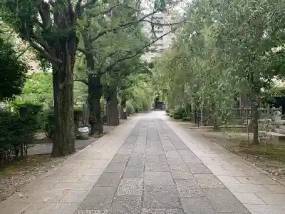 吉祥寺(東京都)
