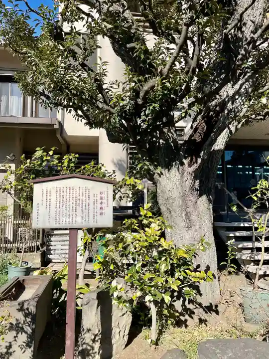 妙蓮寺(東京都)