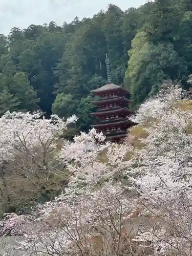 長谷寺(奈良県)