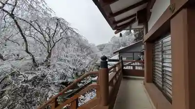 松ヶ崎大黒天 妙圓寺（妙円寺）(京都府)