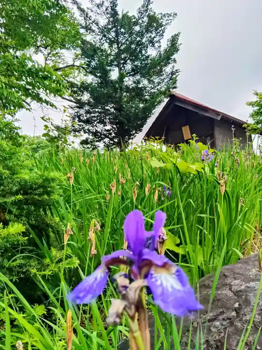 黄金龍神社(桂不動)(北海道)