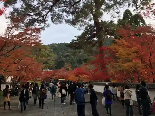 禅林寺（永観堂）の景色