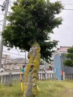 洲崎神社(神奈川県)