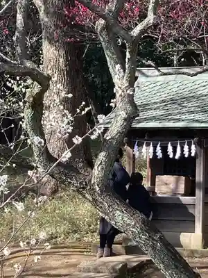 谷保天満宮(東京都)
