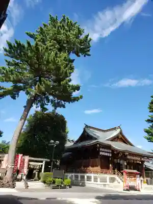 中野沼袋氷川神社の本殿・本堂